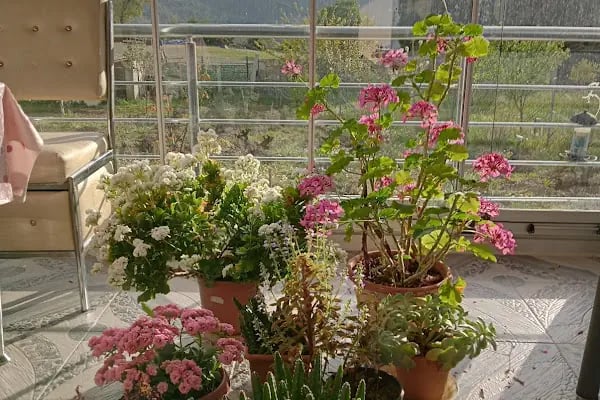 BİGA Garden Düğün Salonu - Resim 19