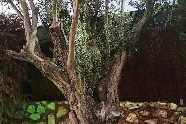 BİGA Garden Düğün Salonu - Resim 18