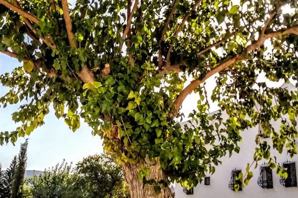 Batuhan Otopark Bodrum - Resim 10