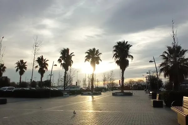 İDO Pendik Feribot İskelesi - Resim 20