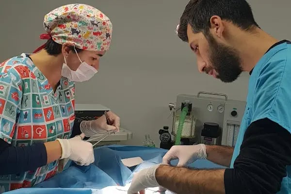 Vetorium Veteriner Kliniği - Resim 20
