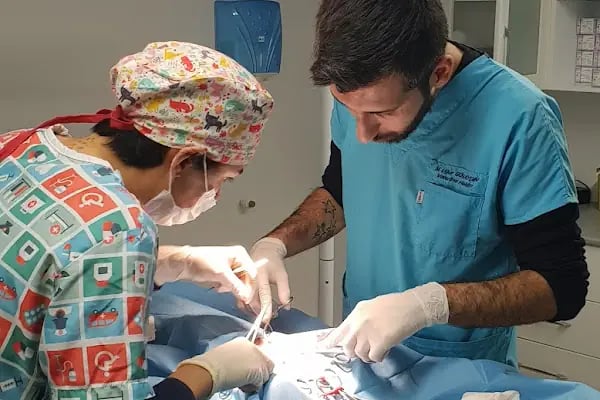 Vetorium Veteriner Kliniği - Resim 15
