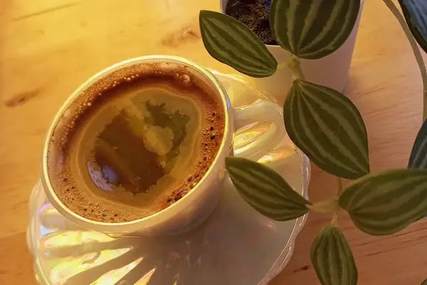 Cafe or tea - Resim 9