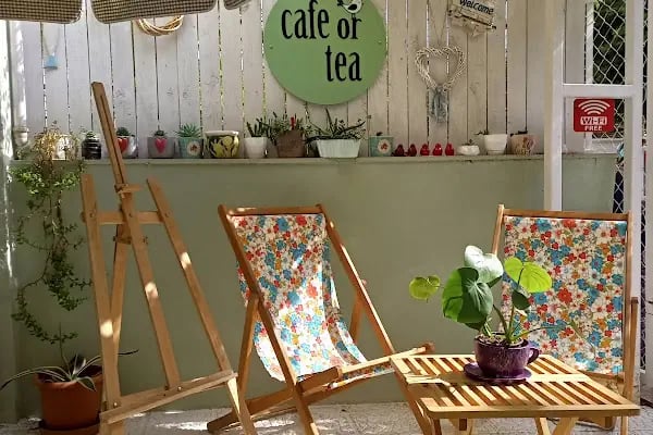 Cafe or tea - Resim 6