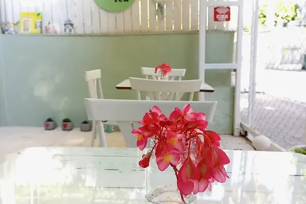 Cafe or tea - Resim 19