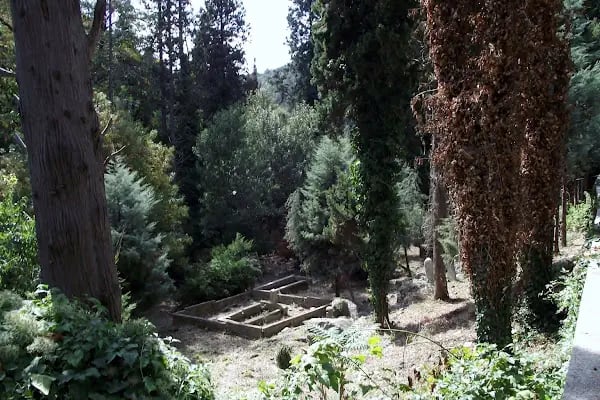 Rumelikavağı Mezarlığı - Resim 8
