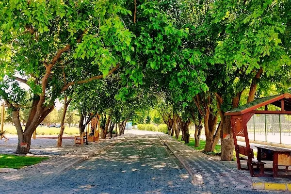 Gölet Park Alanı - Resim 10