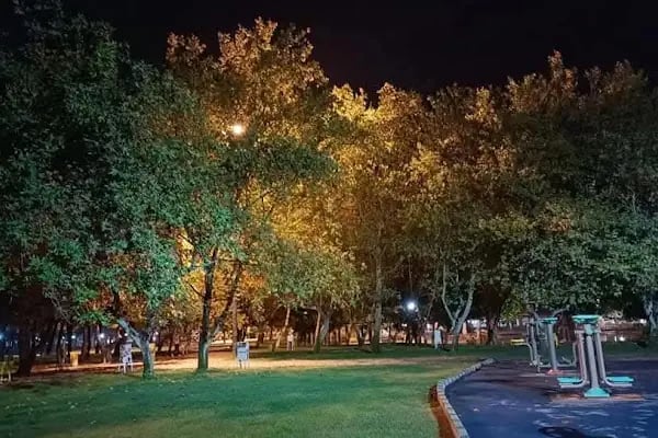 Gölet Park Alanı - Resim 19