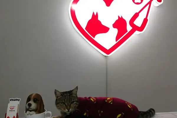 Vitality Veteriner Kliniği - Resim 10