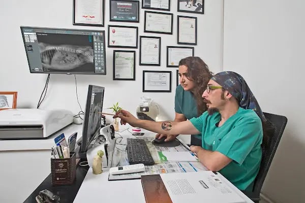 Vitality Veteriner Kliniği - Resim 7