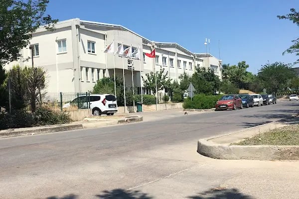 Sf Trade Teknik Tekstil A.Ş. - Resim 2