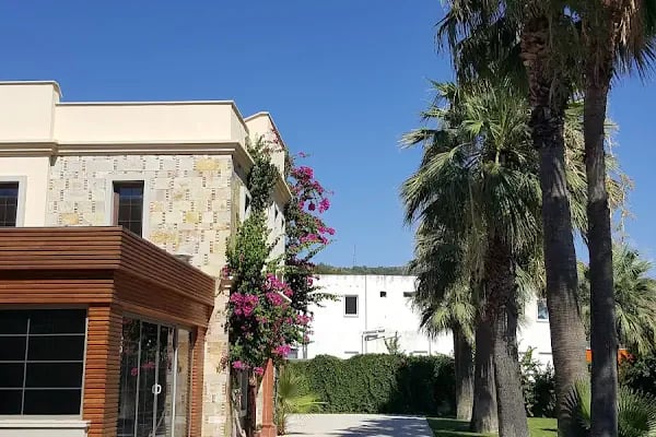 Yüksel Çağlar İş Mer. - Resim 5