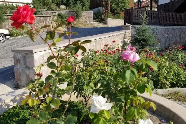 Çamlıdere Kültür Evi Müzesi - Resim 12