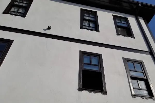 Çamlıdere Kültür Evi Müzesi - Resim 15