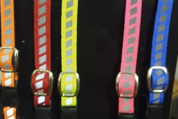 Pati Pet Shop - Resim 6
