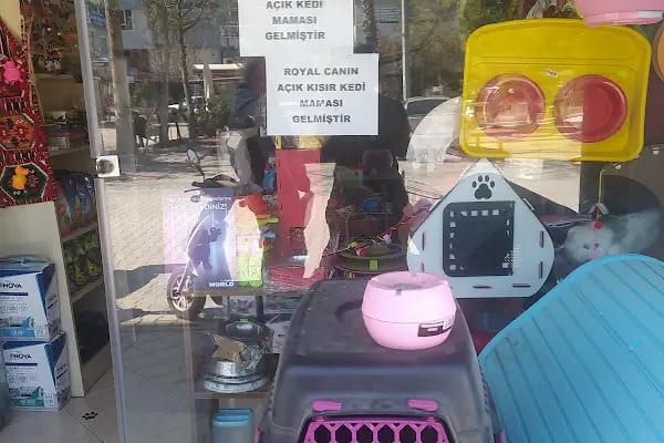 Pati Pet Shop - Resim 7