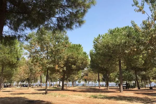 HALK PLAJI - Resim 5