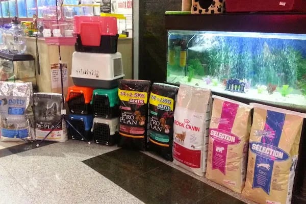 Yakamoz Pet Shop - Resim 17