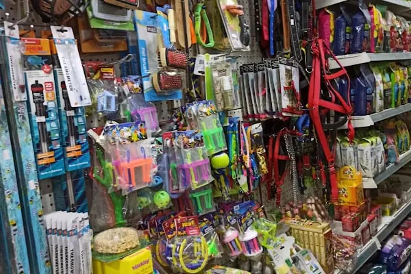 Yakamoz Pet Shop - Resim 2