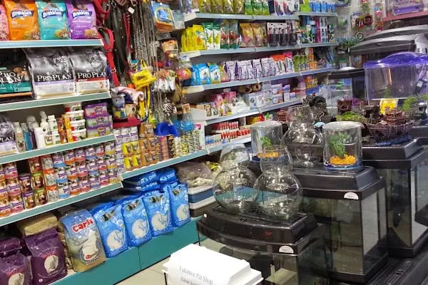 Yakamoz Pet Shop - Resim 5