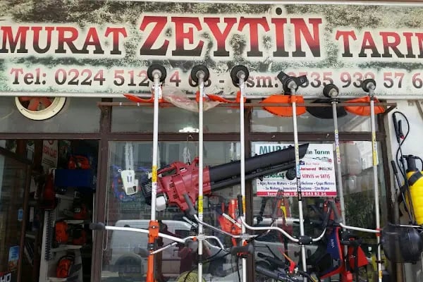 Murat Zeytin Tarım - Resim 3