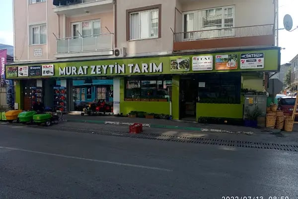 Murat Zeytin Tarım - Resim 18
