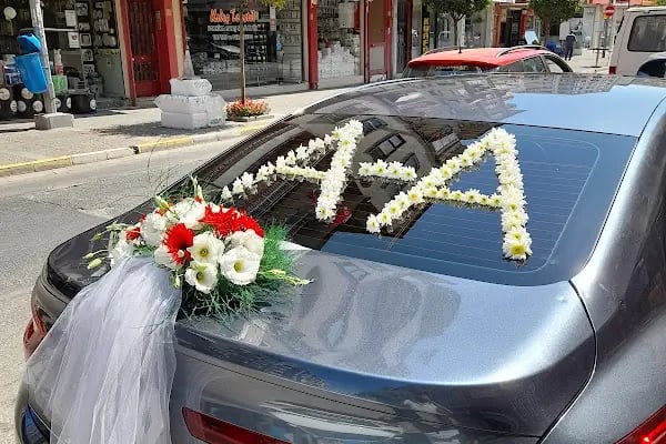 Balkır Eczanesi - Resim 2
