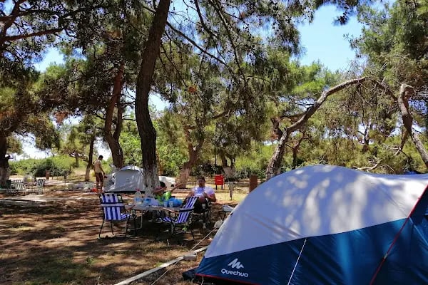 Manavgat Belediyesi Kamp Alanı - Resim 6