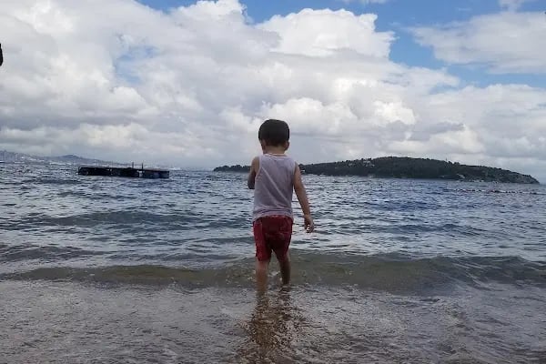 Aya Nicola Beach / Aya Nikola Plajı - Resim 10