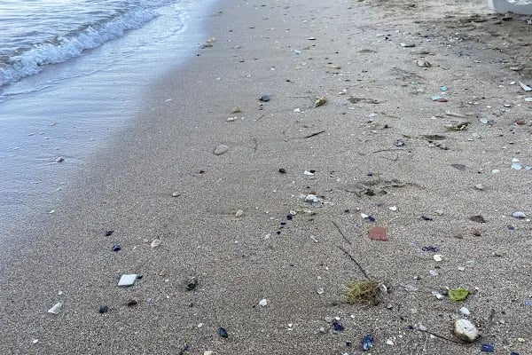 Aya Nicola Beach / Aya Nikola Plajı - Resim 8