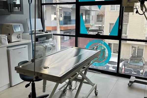 PlusVet Veteriner Kliniği - Resim 5