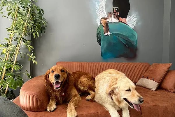 PlusVet Veteriner Kliniği - Resim 14