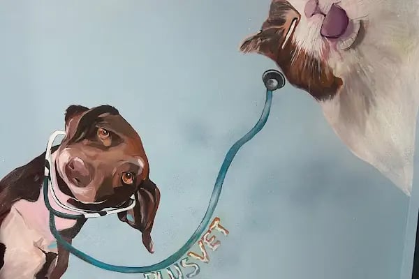 PlusVet Veteriner Kliniği - Resim 3