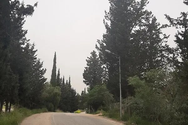 Çukurova Üniversitesi Merkez Laboratuvar - Resim 9
