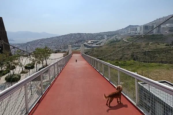 Genç İzmir Bornova Gençlik Yerleşkesi - Resim 15