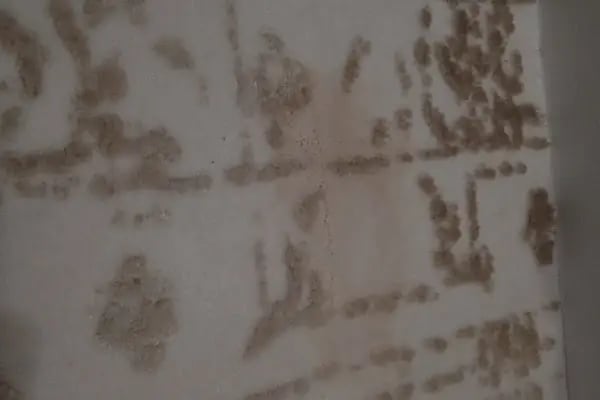 Konya Önemli Halı Yıkama - Resim 7