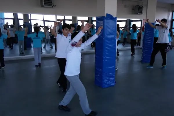 Mimar Sinan Spor Kompleksi - Resim 14