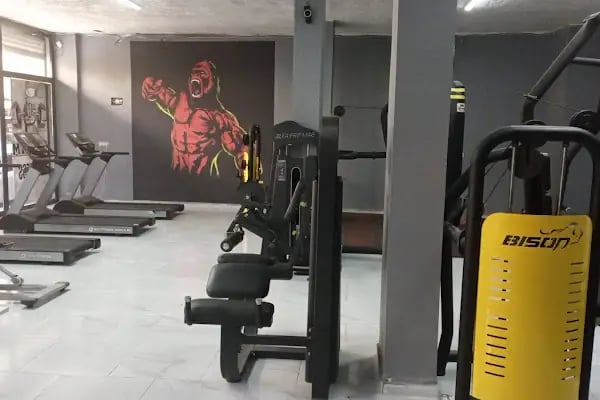 ARS GYM - Resim 3