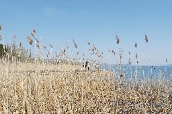 Seka kamp - Resim 15