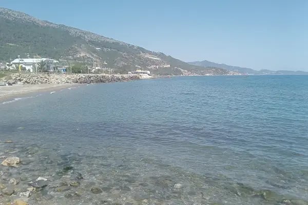 Sıla Fresh Muz - Resim 2