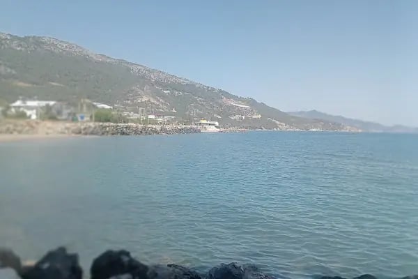 Sıla Fresh Muz - Resim 10