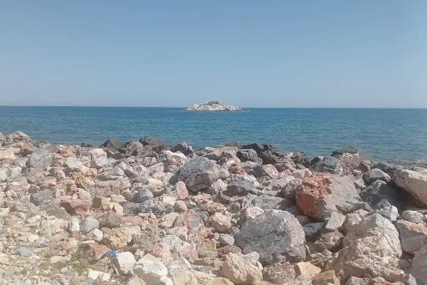Sıla Fresh Muz - Resim 12