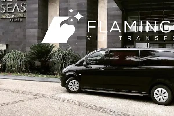 Flamingo Transfer Antalya Трансфер Анталия - Resim 2