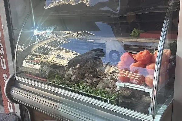 BUCA SÖĞÜŞCÜM - Resim 14