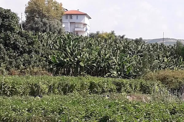 Yurtiçi Kargo Dimçayı - Resim 11