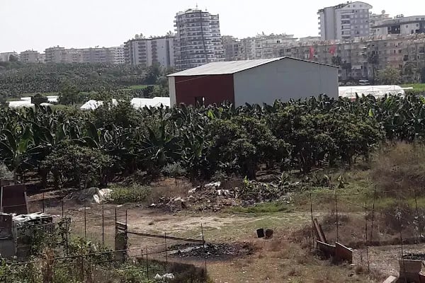 Yurtiçi Kargo Dimçayı - Resim 15