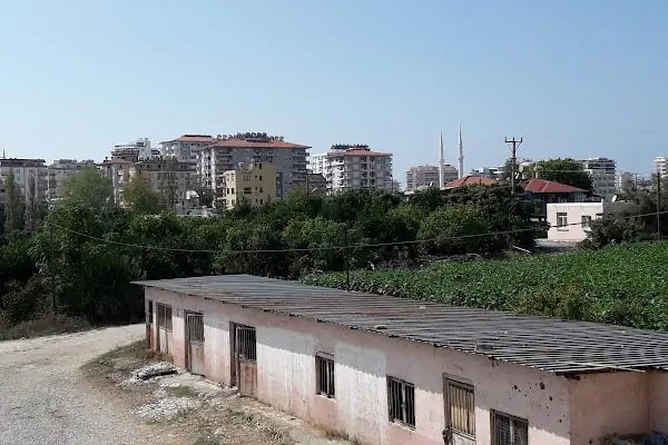 Yurtiçi Kargo Dimçayı - Resim 5