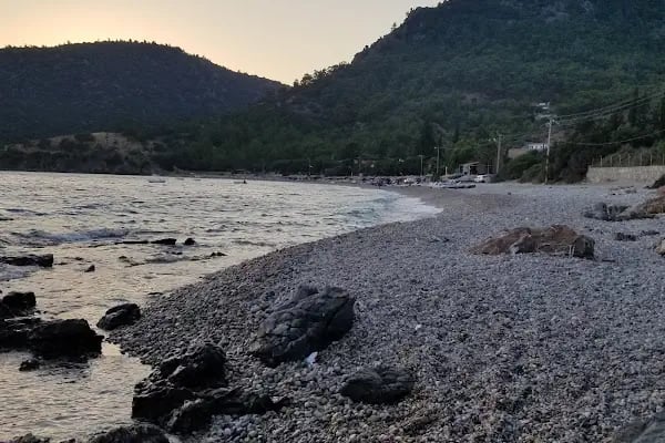 Ege Pansiyon &amp; Restorant - Resim 16