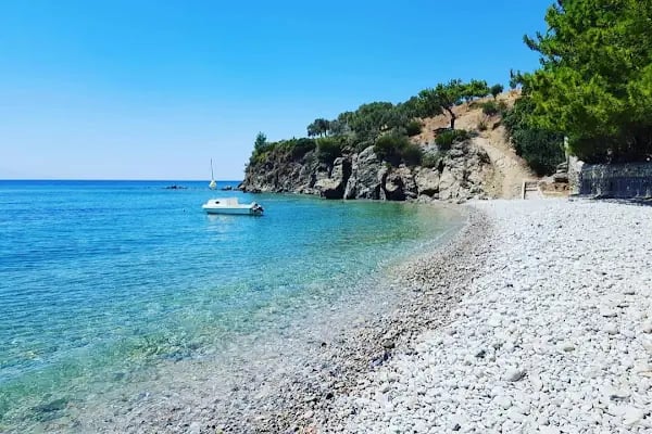Ege Pansiyon &amp; Restorant - Resim 2