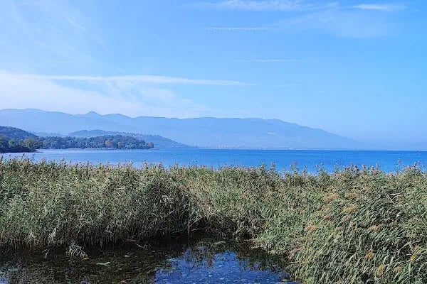 Arifiye Park - Resim 19